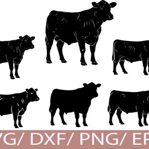 May include: Black silhouette illustrations of cows in various poses against a white background. The image includes six different cow designs, with the text "SVG/DXF/PNG/EPS" at the bottom in a brown color.