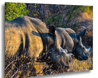 Rhino Photography Wall Art South Africa Wildlife Print Safari Animal Photo African Rhino Decor Nature Picture Endangered Species Artwork