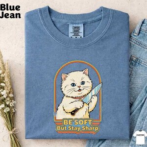Be Soft But Stay Sharp Cat Shirt, Funny Cat Aesthetic Tee, Mental Health Sweater, Comfort Colors Adult Humor T-shirt, Sarcastic Cat Meme Top