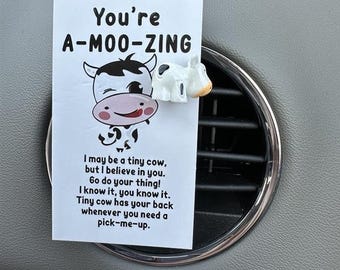 Car Vent Clip Charms