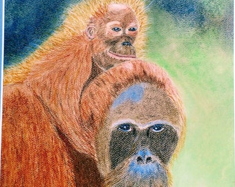 Orangutan Baby and Mother, Orangutan, Signed Print Pastel Painting, Wildlife Painting, Unframed pastel painting