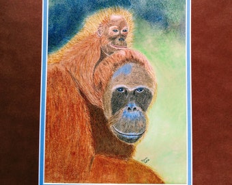 Orangutan Baby and Mother, Orangutan, Original Pastel Painting, Wildlife Painting, Framed pastel painting