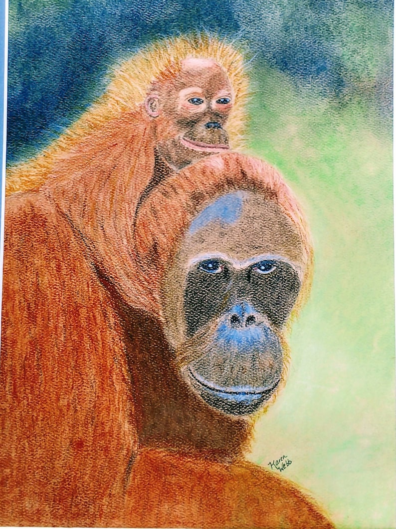 Orangutan Baby and Mother, Orangutan, Signed Print Pastel Painting ...