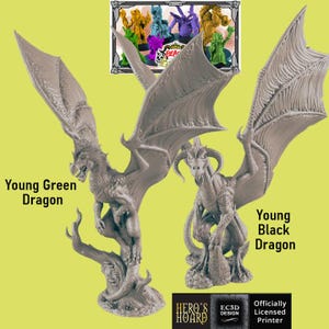 May include: Two detailed dragon figurines, a Young Green Dragon and a Young Black Dragon, with outstretched wings. The dragons are gray and stand on textured bases. The image includes text that reads "HERO'S HOARD" and "Officially Licensed Printer."