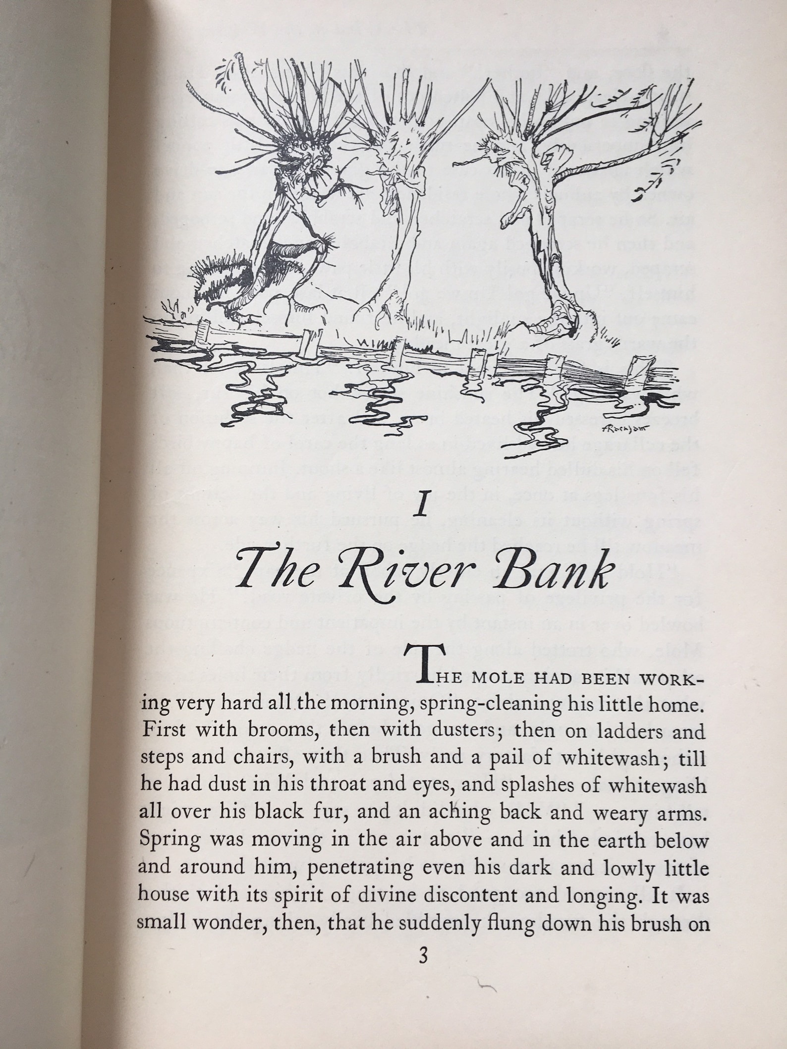 The Wind in the Willows Illustrated by Arthur Rackham Kenneth - Etsy