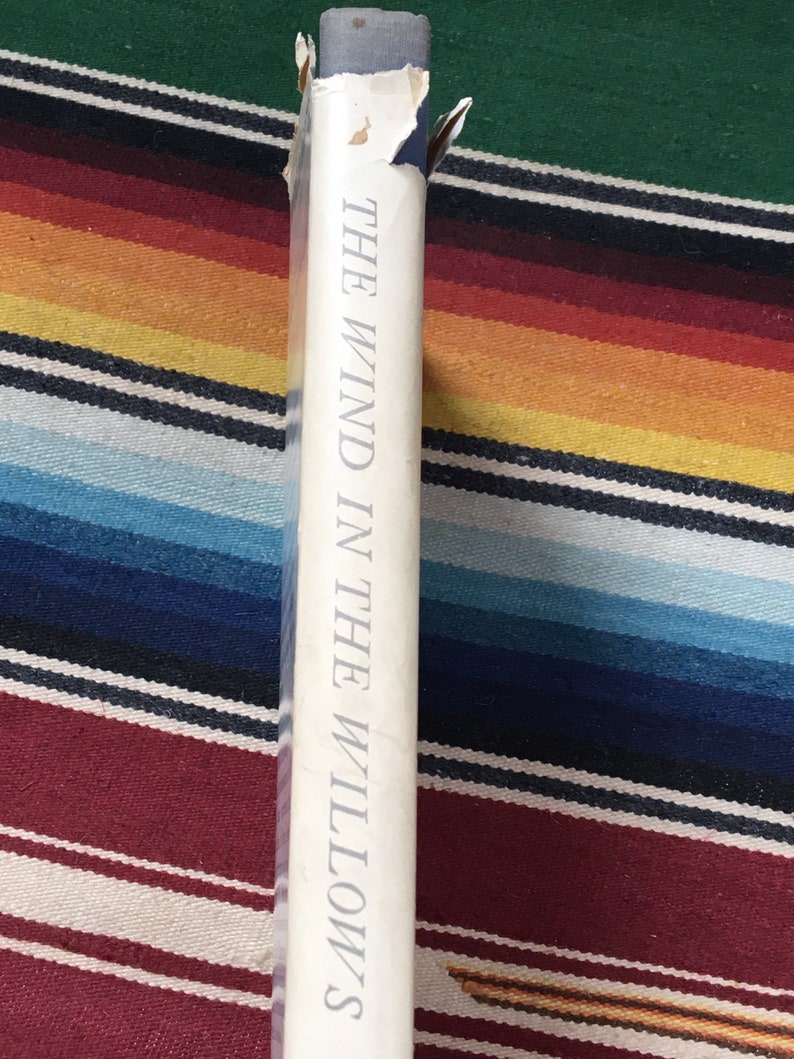 The Wind in the Willows Illustrated by Arthur Rackham Kenneth - Etsy