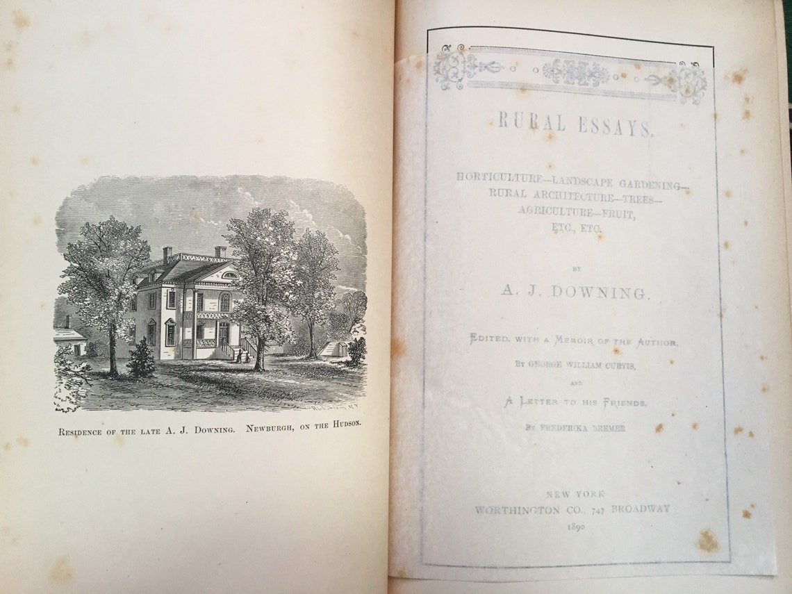 Rural essays downing 07 image