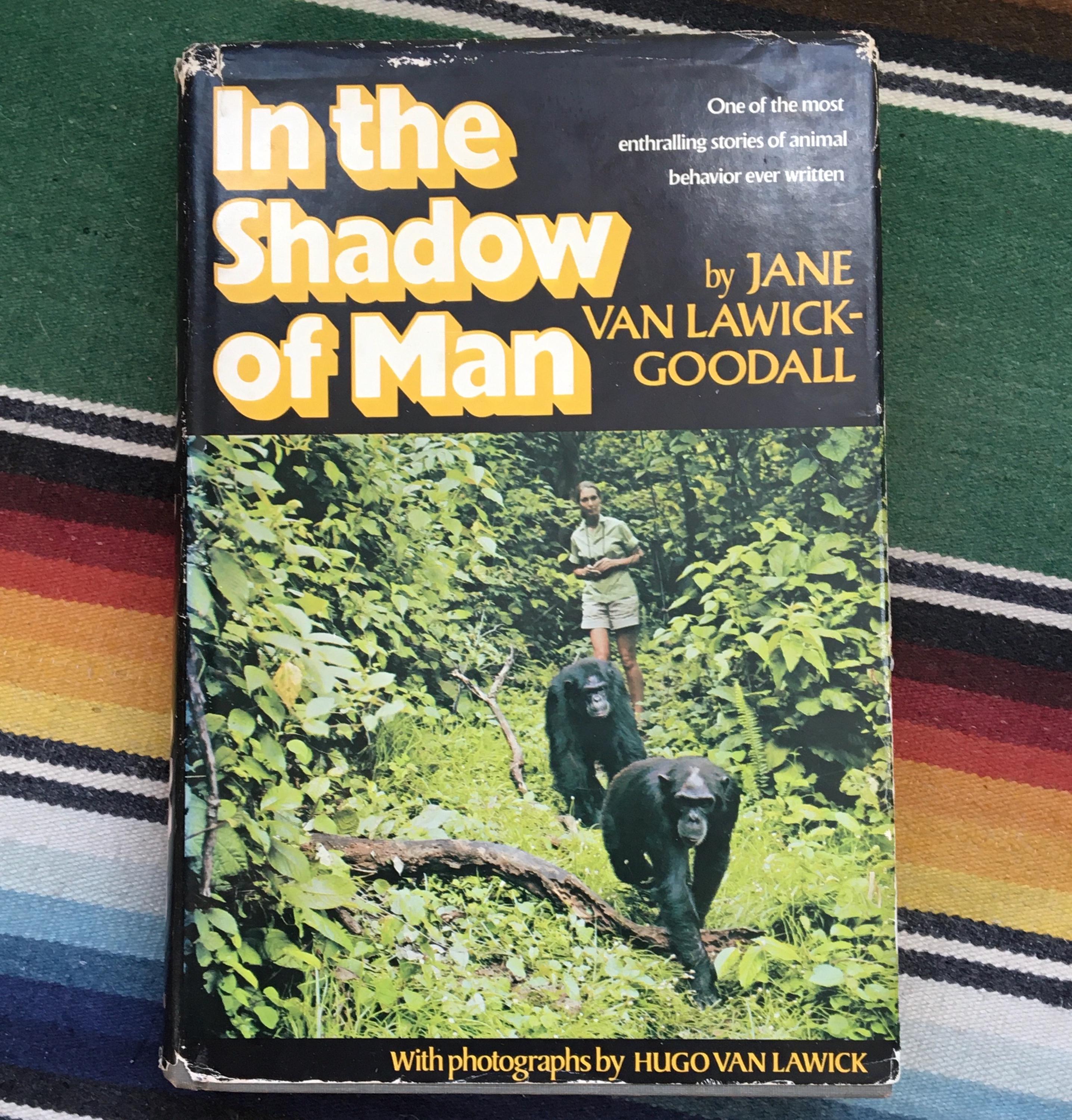 Jane Goodall In the Shadow of Man Early Printing