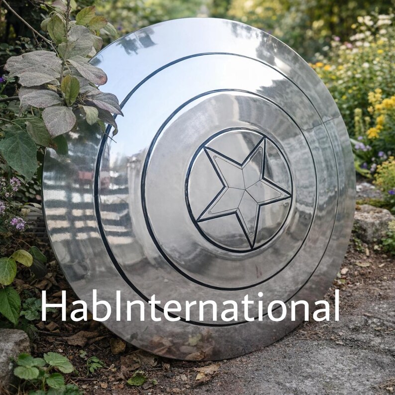 May include: A large, shiny, silver shield with a central star design and concentric circular patterns. The shield has a polished metal finish and is displayed outdoors. The text "HablInternational" is visible on the lower part of the shield.