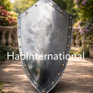 Dragon Warrior Templar Medieval Functional Shield Knight Armor Shield