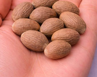 Nuez moscada entera (Jayfal) 440 g / Natural y aromática / Especia ecológica / Recogida a mano