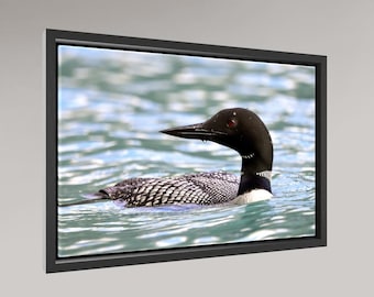 Common Loon Close-Up – Wildlife Photography Digital Download