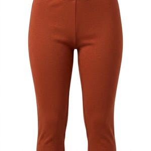 Puede incluir: Leggings capri de color marr&oacute;n casta&ntilde;o liso con cintura el&aacute;stica alta y silueta ajustada. La etiqueta interior muestra el nombre de la marca TERRA y la talla S. Estos pantalones cortos tienen una textura suave y un dobladillo limpio.