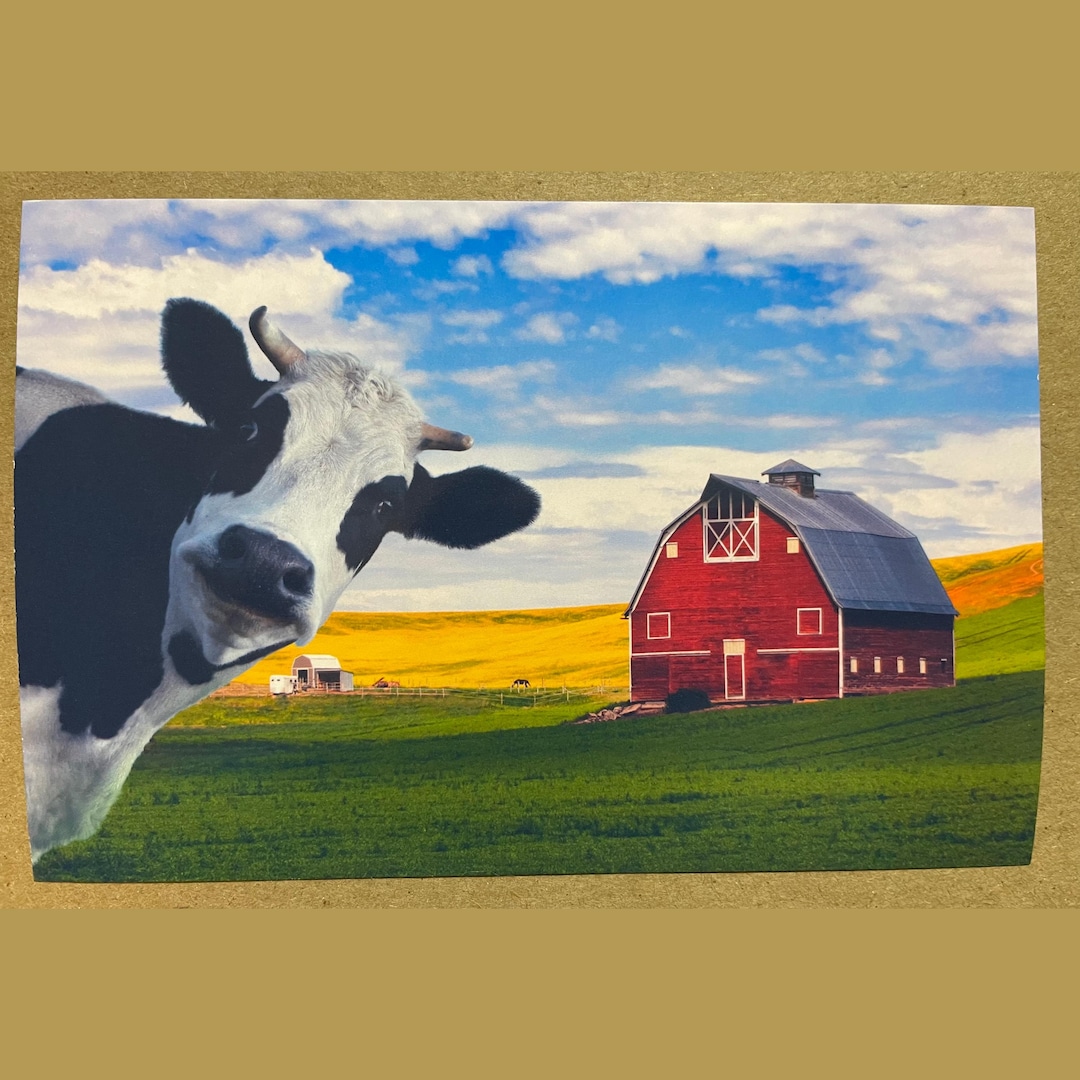 New Postcard 4x6 Cow on the Farm - Etsy