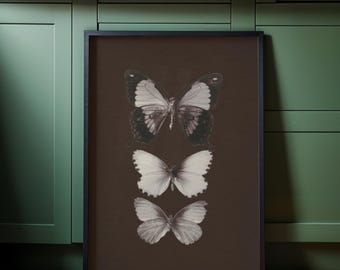 Vintage Butterfly Specimen Print, Dark Academia Gallery Wall (Digital Download)