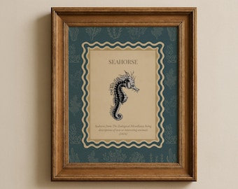 Vintage Seahorse Decor, Sea Creature Art, Antique Natural History Print (1814)