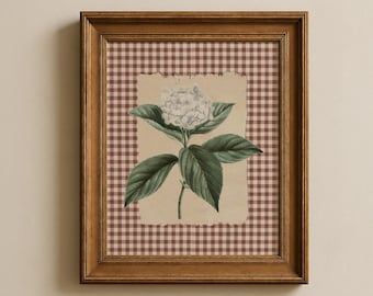 Väggkonst med vit hortensia, mjukt vintagetryck, ginghamstil, flera storlekar ingår