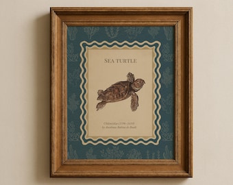 Vintage Sea Turtle Illustration Printable | Coastal Nautical Wall Art | Marine Biology Decor