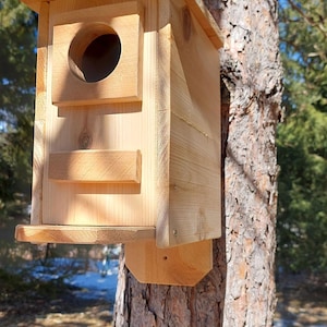 May include: A wooden birdhouse with a natural finish, mounted on a tree trunk. The birdhouse features a circular entrance hole, a small perch, and a sloped roof. The design is simple and rustic, suitable for attracting birds to a garden or outdoor space.