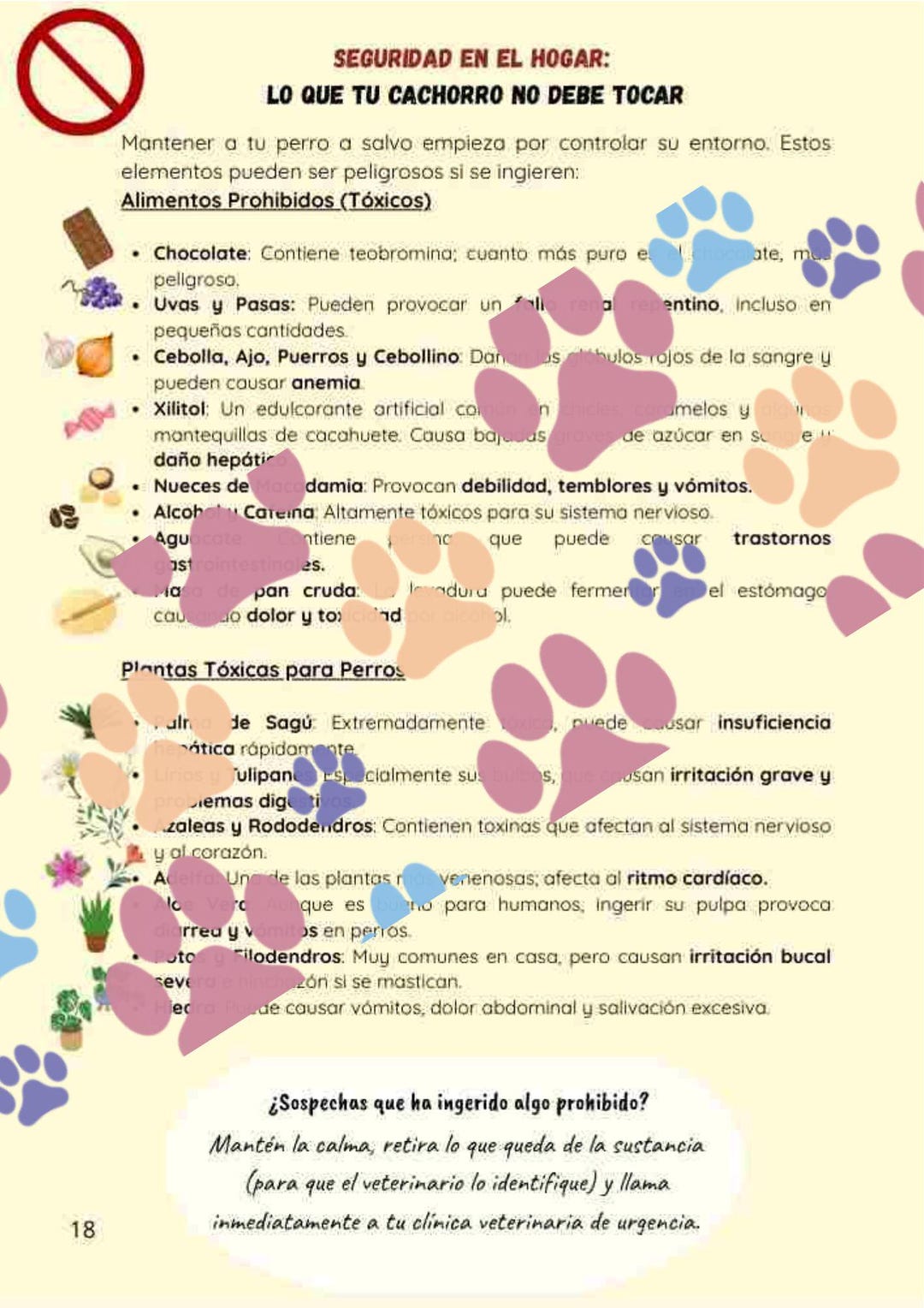 Digital Poster: Toxic Foods for Dogs | Canine Safety Guide | Forbidden ...