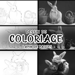 Peut inclure: Plusieurs illustrations en niveaux de gris représentant des lapins de Pâques et des paniers. Les images comprennent des croquis et des dessins ombrés. Le texte au centre indique "DESSIN DE COLORIAGE LAPIN DE PAQUES".