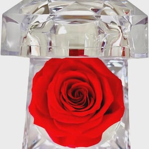 Peut inclure: Une rose rouge préservée, enfermée dans un bloc acrylique transparent et facetté. La rose est en pleine floraison, révélant sa couleur vive et la disposition complexe de ses pétales. L'acrylique a un aspect de diamant.