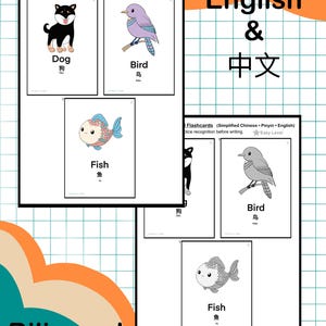 May include: Bilingual flashcards for learning Chinese. The flashcards feature illustrations of a dog, bird, and fish, with English and Chinese characters. The set includes 18 flashcards, designed for easy recognition and writing practice.