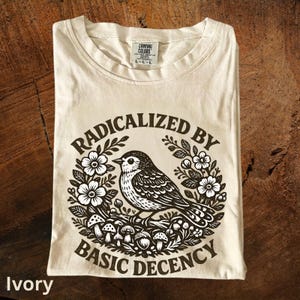 Radicalized by Basic Decency T-shirt | Anti-Fascism FDT Protest Liberal Tee