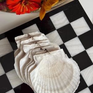May include: A stack of five white scallop shells with a pearlescent finish, each featuring a fan-shaped design with radiating ridges and a small hinge at the top, arranged in a vertical row on a black and white checkered surface.