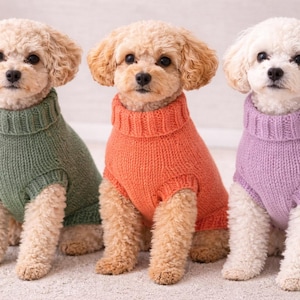 Könnte beinhalten: Drei kleine Hunde tragen farbenfrohe Strickpullover. Die Hunde sind nebeneinander positioniert, jeder mit einem andersfarbigen Pullover: grün, orange und lila. Die Pullover haben einen Rollkragen.
