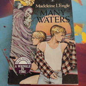 May include: A paperback book titled Many Waters by Madeleine L'Engle with a cover illustration featuring two figures, one wearing a white tank top and plaid shirt, and a purple circular badge that reads By The Author Of A Wrinkle In Time.