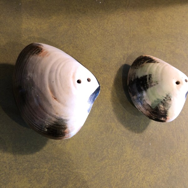 Oyster Salt and Pepper Shakers Etsy