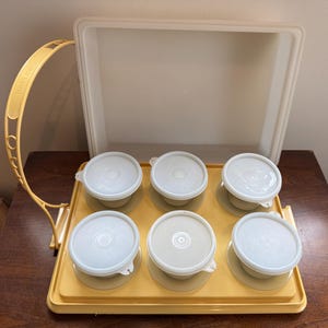 Porte-gâteaux/tartes/casseroles Tupperware vintage avec coupes parfaites avec couvercles