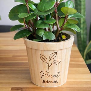 Peut inclure: Une plante en pot avec des feuilles vertes vives et des tiges rougeâtres. La plante est dans un pot en bois clair avec un motif de feuille et les mots "Plant Addict". Le texte "Plant Lover Gift" est en haut.