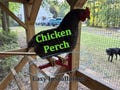 Chicken Perch for Chicken Coop Easy Installation Chicken Roost Perch for Coop