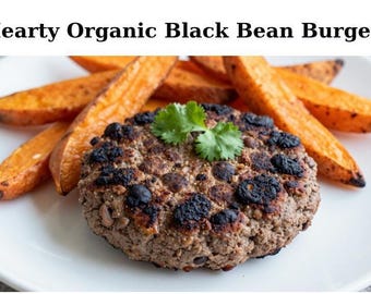 Cook for fitness RECIPES IDEAS VOL. 1 - 26 Pages pdf download