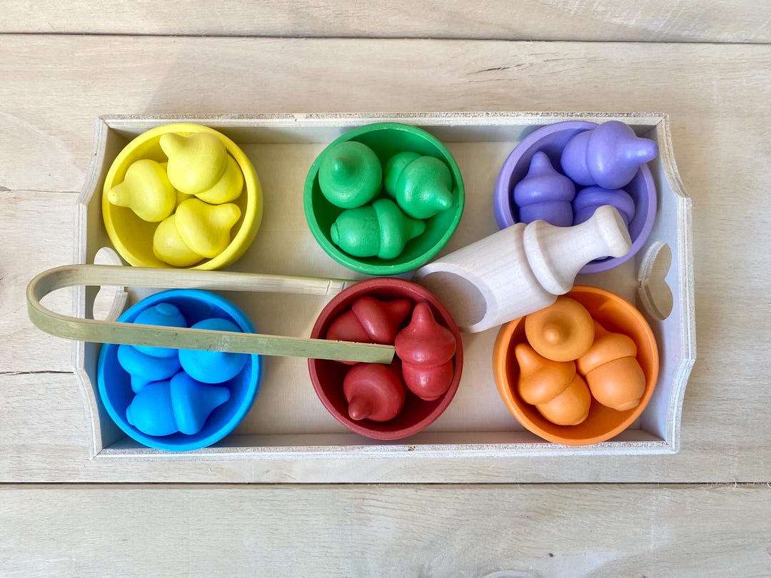 Montessori Color Sorting Game | Fine Motor Skills Educational Kit for ...