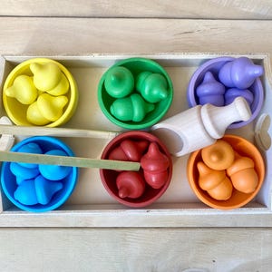 Può includere: Un vassoio di legno contiene sei piccole ciotole piene di giocattoli di legno a forma di ghianda in giallo, verde, blu, rosso, viola e arancione. Sono incluse anche una pinzetta di legno e una paletta di legno bianca.