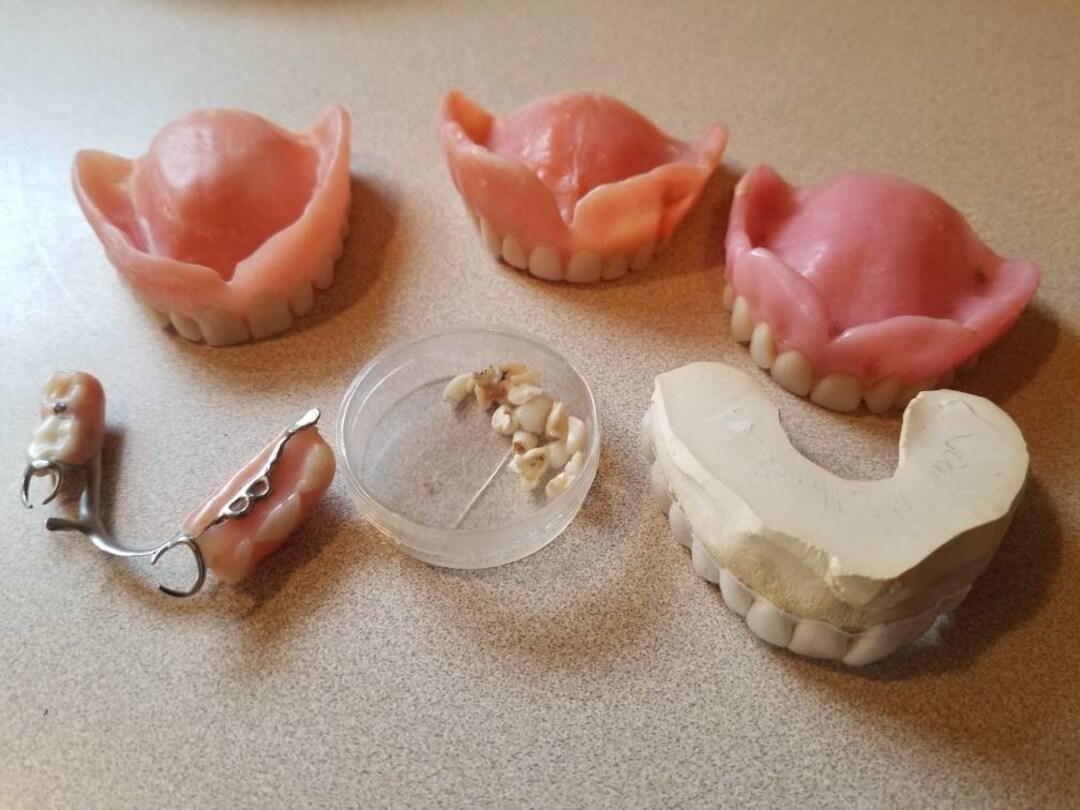 Vintage Dentures False Teeth Dental Spooky Halloween Medical Etsy