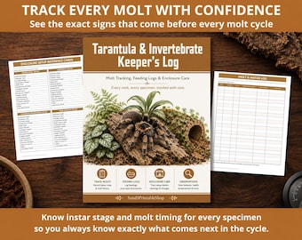 Tarantula & Invertebrate Keeper's Log | Molt Tracker, Feeding and Enclosure Care Binder | Instant Download