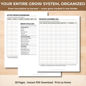 May include: A set of three ceramic mugs with a speckled, matte finish. The mugs are in shades of cream, light gray, and dark gray. Each mug has a simple, minimalist design, perfect for coffee or tea.