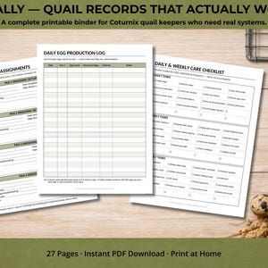 May include: A printable binder for Coturnix quail keepers. The image shows three pages with text, including a daily egg production log and breeding pen assignments. The text reads "FINALLY - QUAIL RECORDS THAT ACTUALLY WORK". There are also quail eggs and a feather.