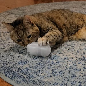 May include: A tabby cat is lying on a blue and white patterned rug, playing with a small, white, rounded object. The cat's paws are touching the object. The cat has brown and tan fur.