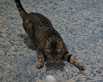 Brinquedo Alimentador Lento para Gatos - Modelo Mix-and-Match | Bola com Saída para Petiscos | Esferas Modulares de Enriquecimento Ambiental Impressas em 3D de 5 cm