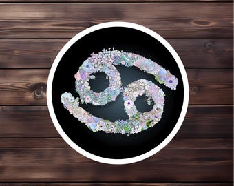 Cancer Floral Glyph Sticker | stars are a compass | Still Point Studio