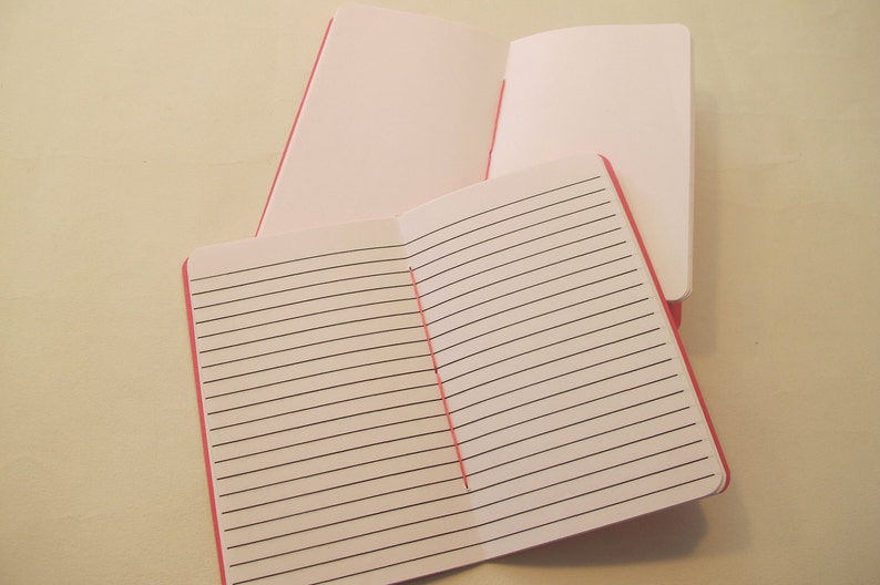 Chandelier Pocket Notebooks: Set of Two Pink and Silver Embossed Small Journals Cahier image 5