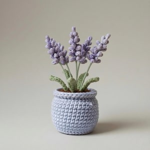 Peut inclure: Une plante de lavande crochetée dans un pot bleu clair. Les fleurs de lavande sont violettes douces, avec des tiges et des feuilles vertes. Le pot est bleu clair assorti, avec un aspect texturé et fait à la main. C'est un objet décoratif.