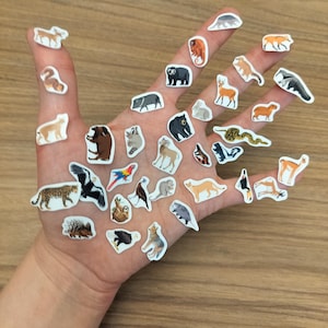 May include: A collection of animal stickers, including a leopard, parrot, and bear, are displayed on a hand. The stickers feature various wildlife illustrations with white borders. The background is a light brown wooden surface.