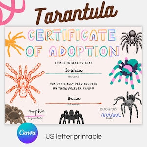 Pode incluir: Certificado de adoção de tarântula colorido com a palavra "Tarantula" no topo. O certificado inclui o texto "Certificate of Adoption", o nome "Sophia" e a data 06/06/2025. O certificado é imprimível em formato US letter.