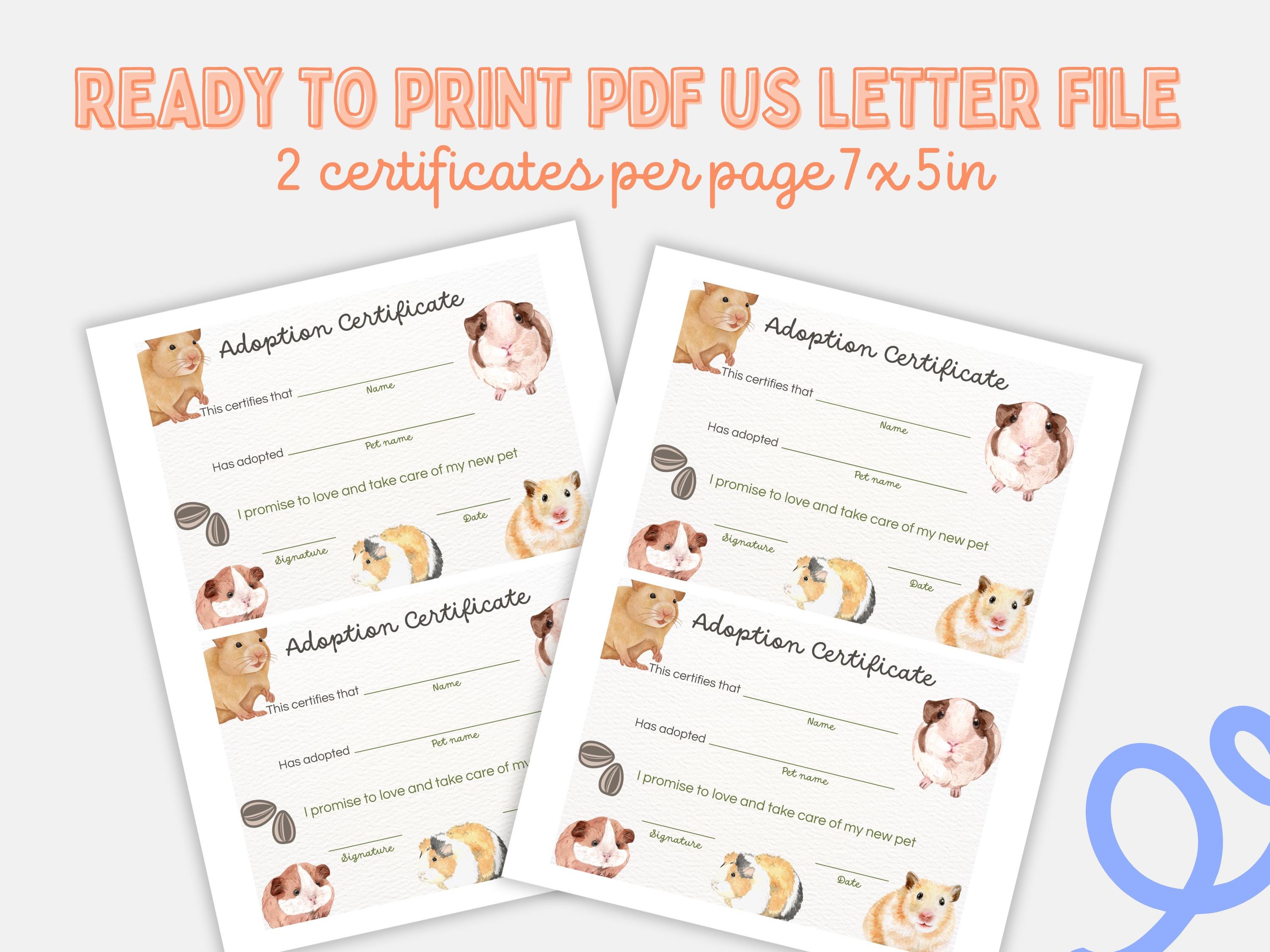 Hamster Adoption Certificate Printable for Kids Editable Text Canva ...